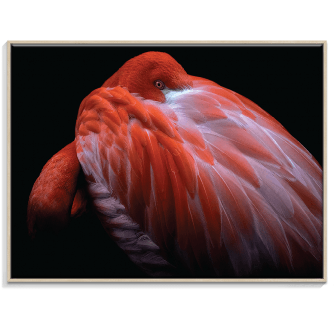 78PH - P2627 - FFT