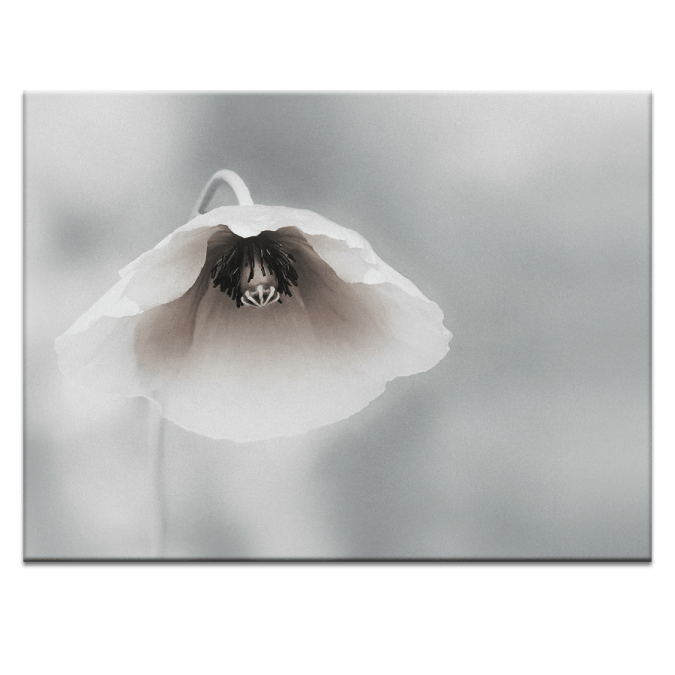 Ephemeral Attraction