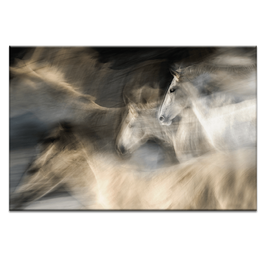 In Motion Wall Art Artist Lane