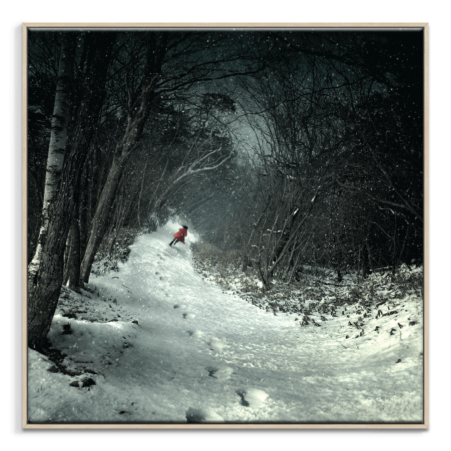 Into the Winter Forest