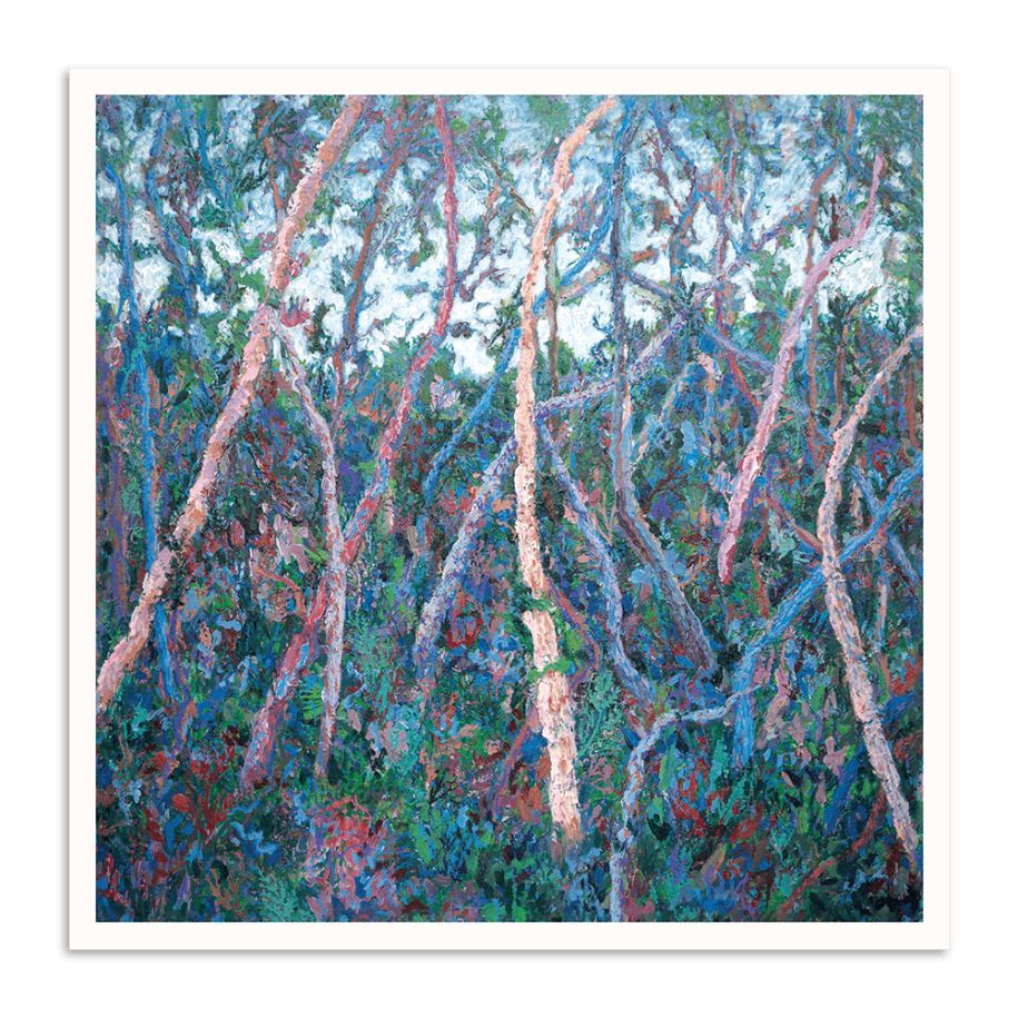 08JP-P2631-P