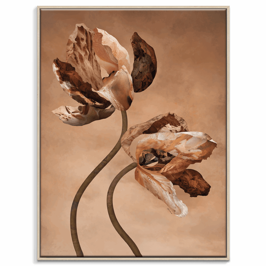 05CR-P2627-FFT