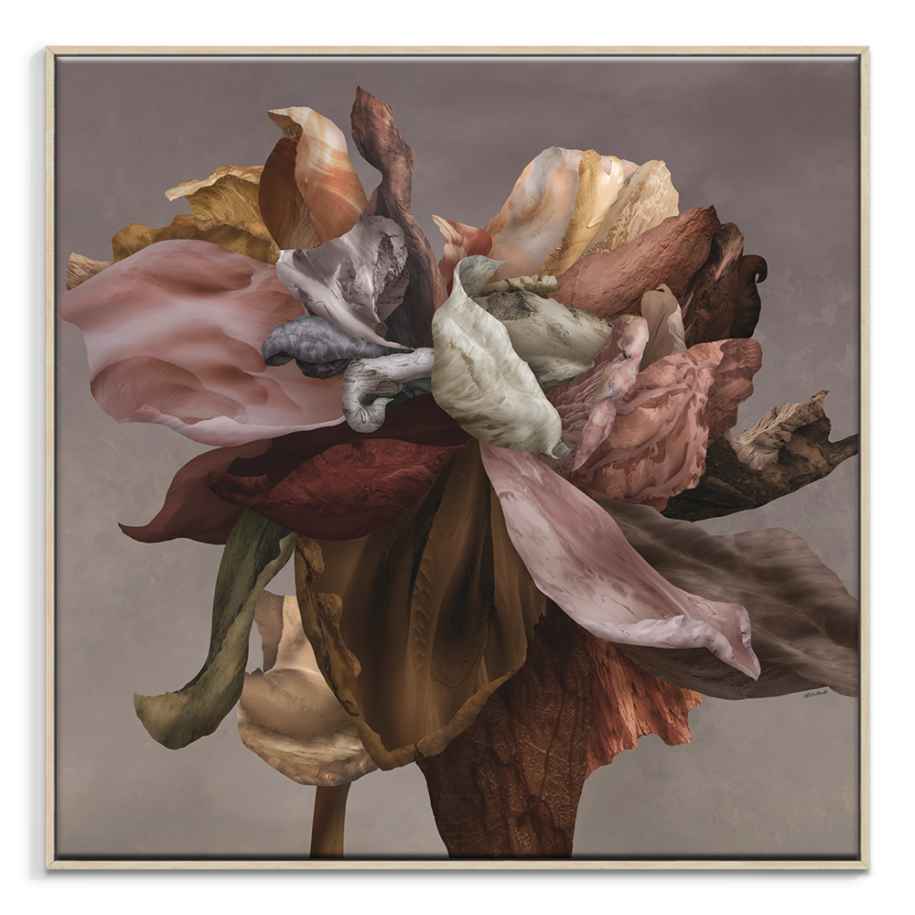Dancing Towards Dark – Limited Edition