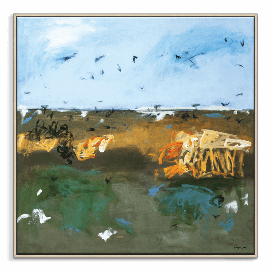 Wetlands Fly High