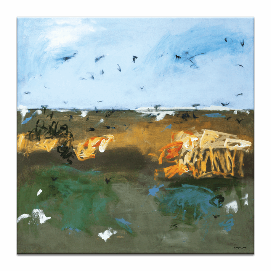 Wetlands Fly High